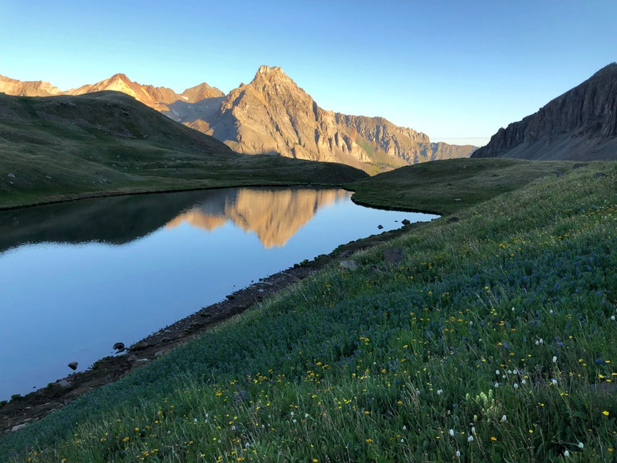 Water and grass with wildflowers in the foreground, rising mountains in the background.