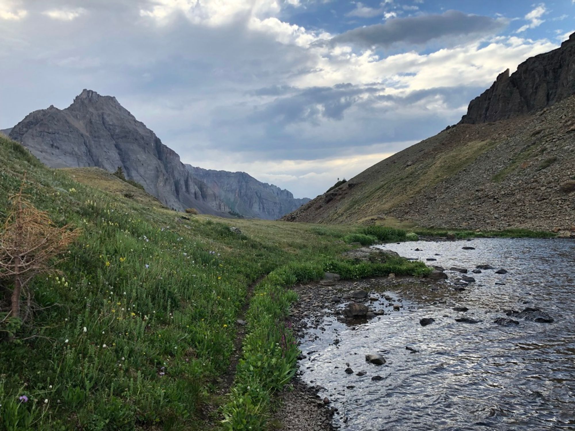 Water and grass in the foreground, rising mountains in the background.