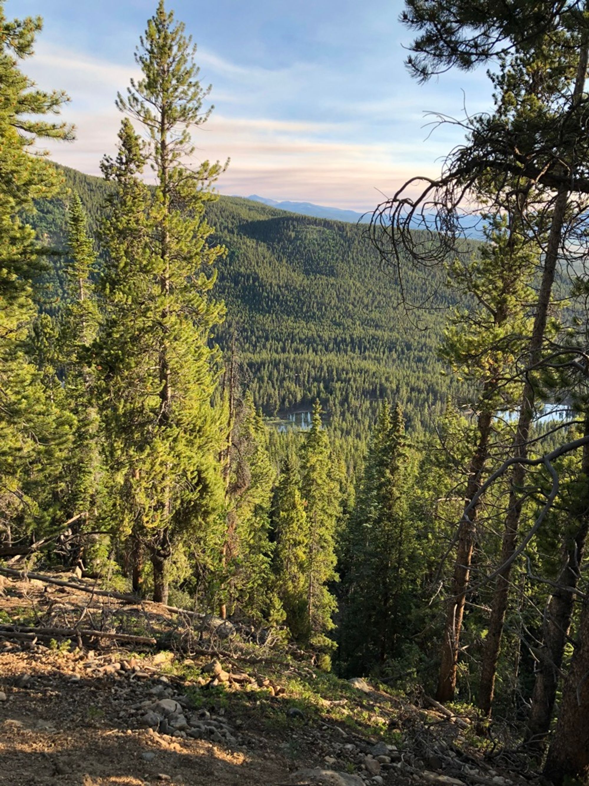 View from the trail to Mt. Elbert looking out through a gap in the trees at the Sawatch Range