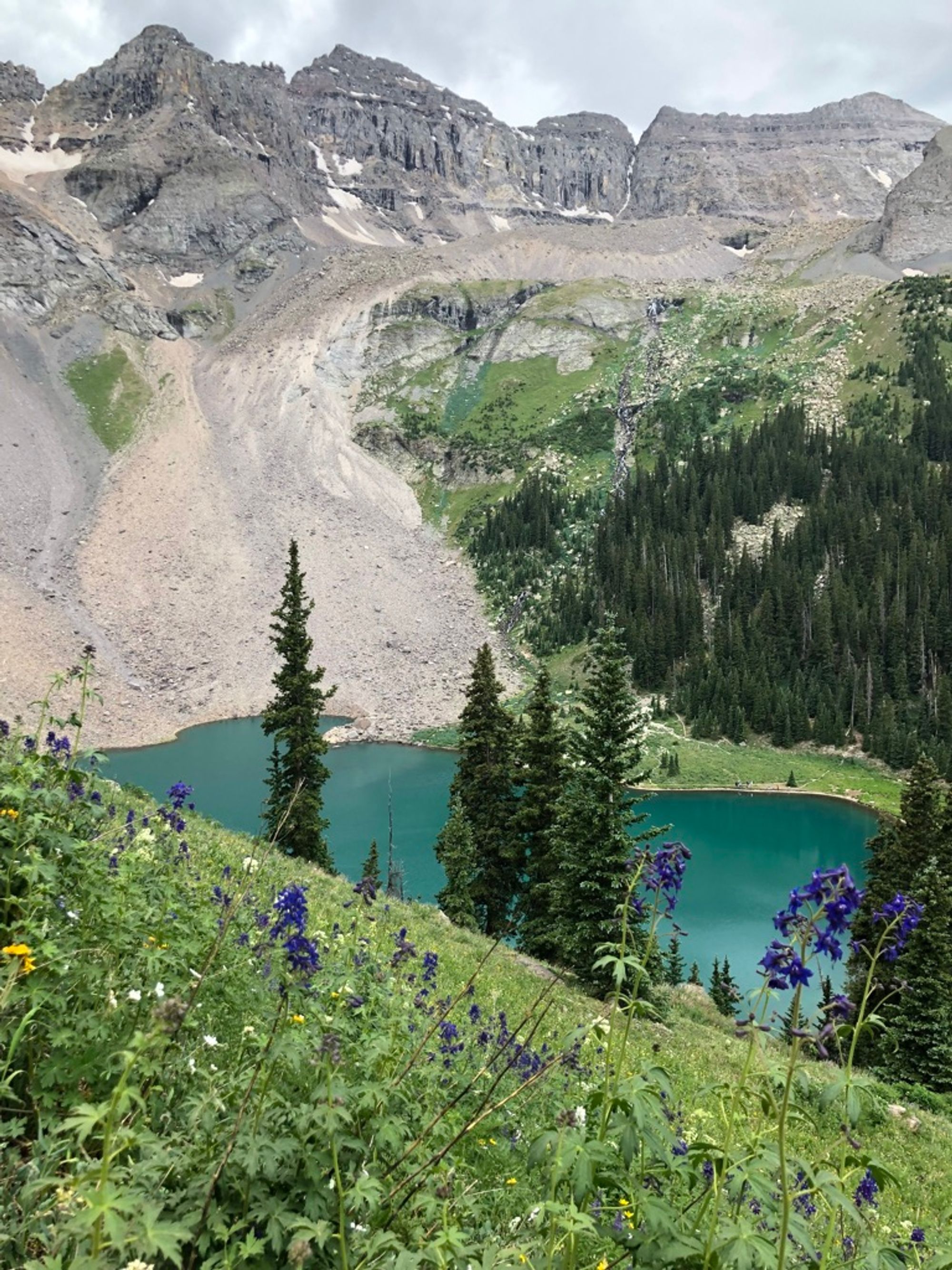 Wild flowers overlooking a Blue Lake, a ridge line rising above.